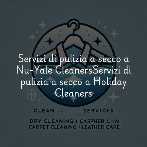 Servizi di pulizia a secco a