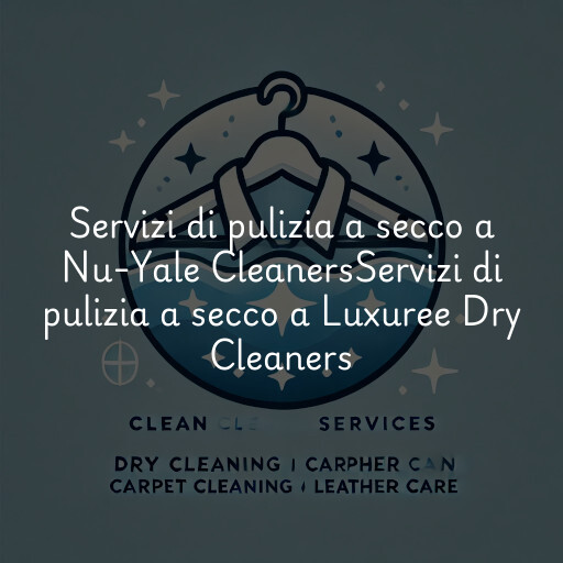 Servizi di pulizia a secco a