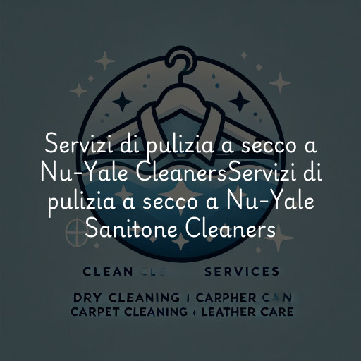 Servizi di pulizia a secco a