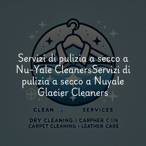 Servizi di pulizia a secco a