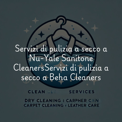 Servizi di pulizia a secco a