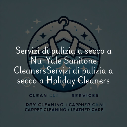 Servizi di pulizia a secco a