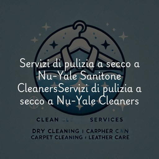 Servizi di pulizia a secco a