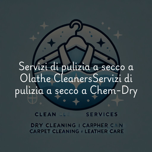 Servizi di pulizia a secco a