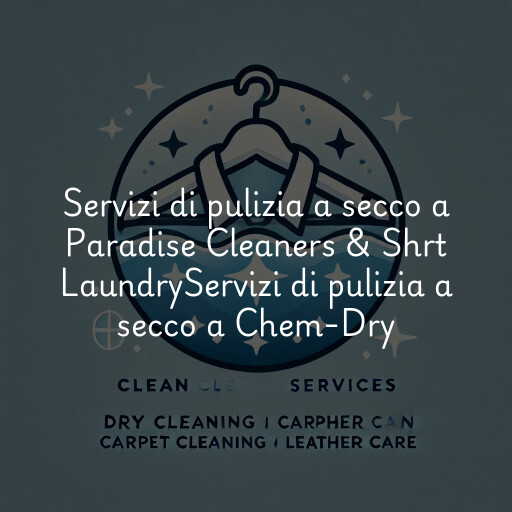 Servizi di pulizia a secco a