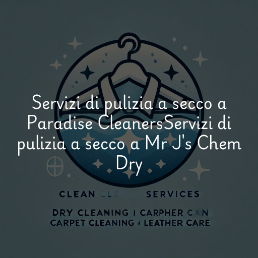 Servizi di pulizia a secco a