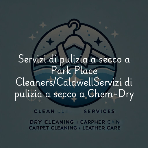 Servizi di pulizia a secco a