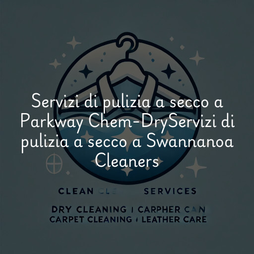 Servizi di pulizia a secco a