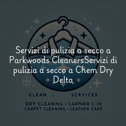 Servizi di pulizia a secco a