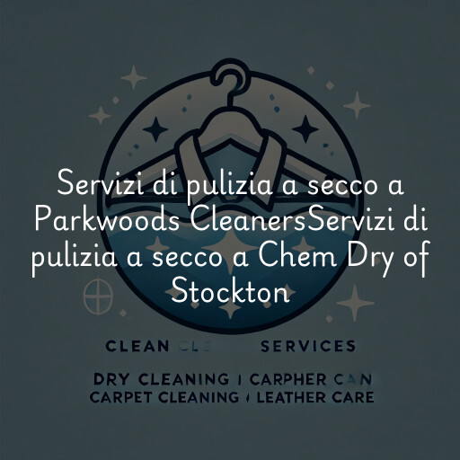 Servizi di pulizia a secco a