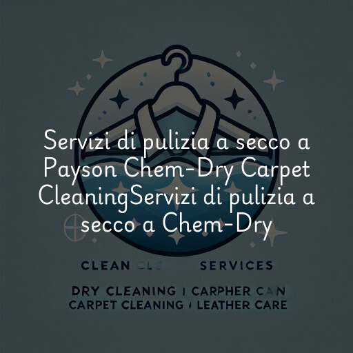Servizi di pulizia a secco a