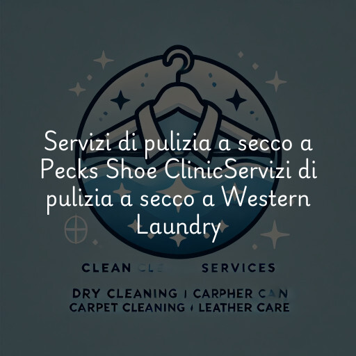 Servizi di pulizia a secco a