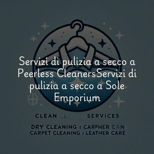 Servizi di pulizia a secco a