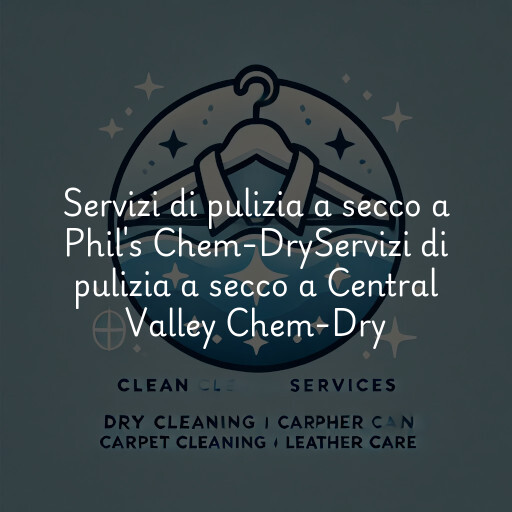Servizi di pulizia a secco a
