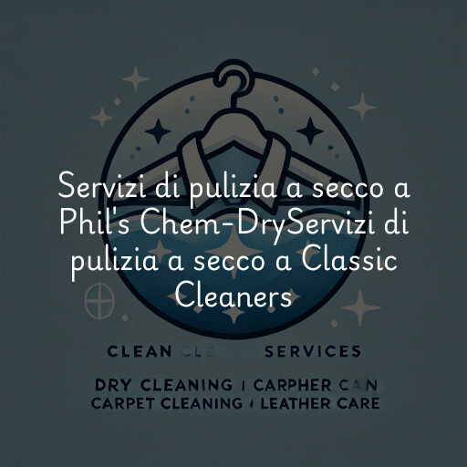 Servizi di pulizia a secco a