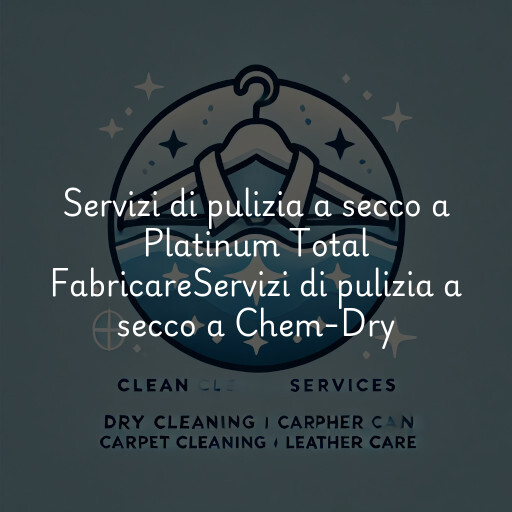 Servizi di pulizia a secco a