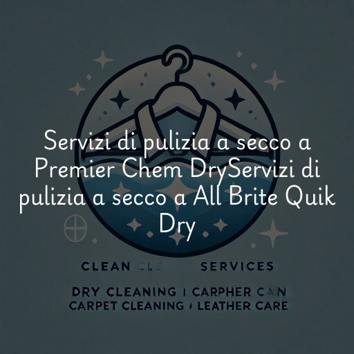 Servizi di pulizia a secco a