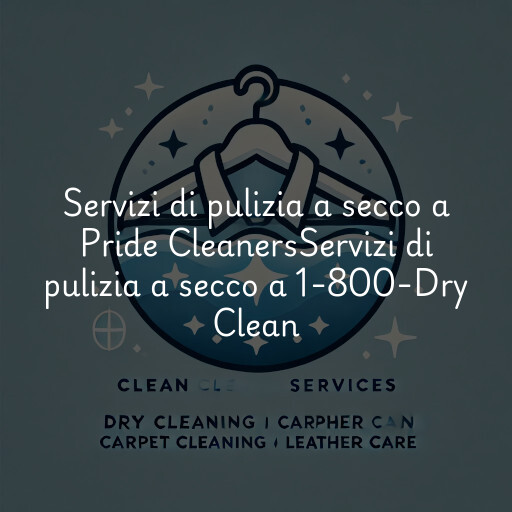 Servizi di pulizia a secco a