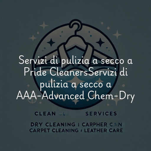 Servizi di pulizia a secco a
