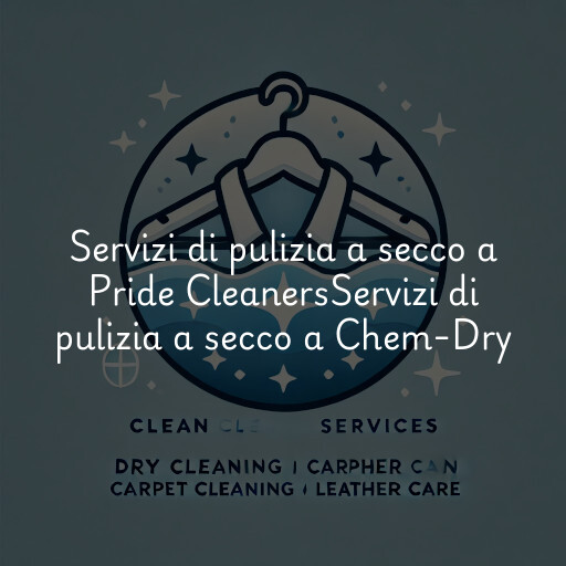 Servizi di pulizia a secco a