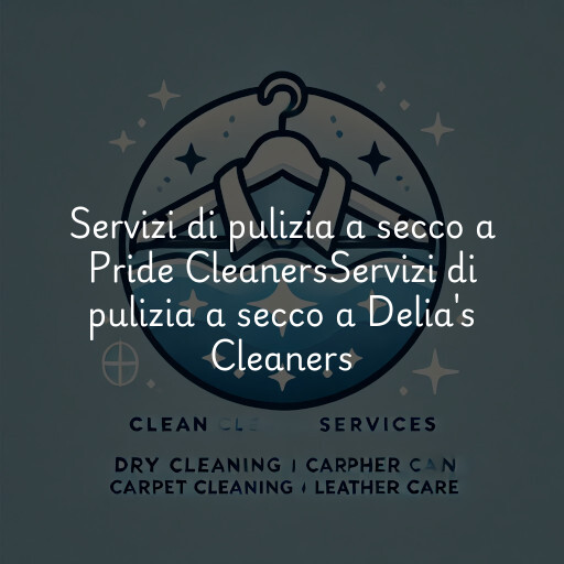 Servizi di pulizia a secco a