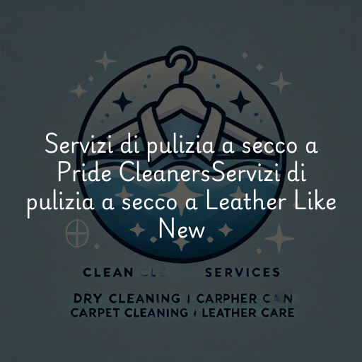 Servizi di pulizia a secco a