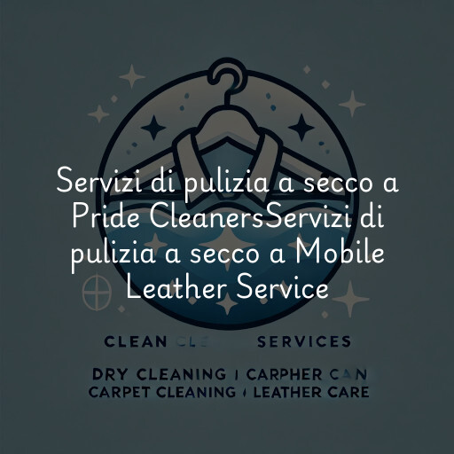 Servizi di pulizia a secco a
