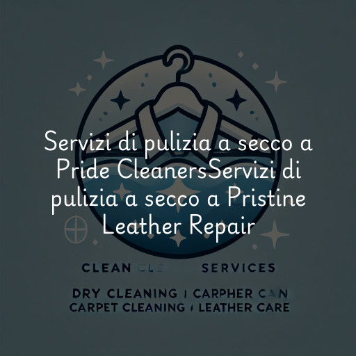 Servizi di pulizia a secco a