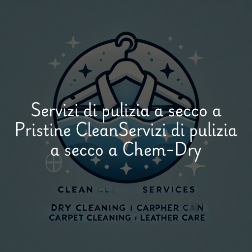 Servizi di pulizia a secco a