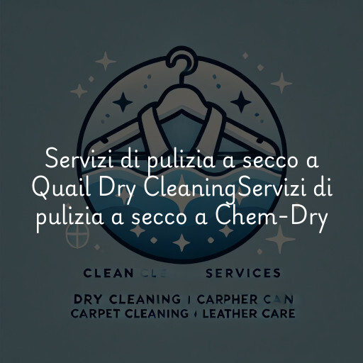Servizi di pulizia a secco a