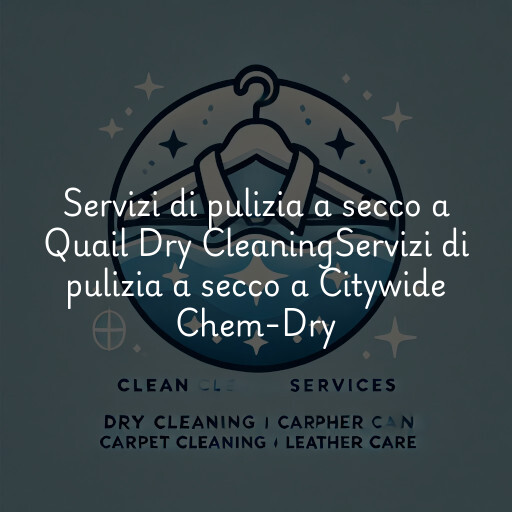 Servizi di pulizia a secco a