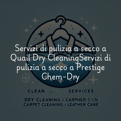 Servizi di pulizia a secco a
