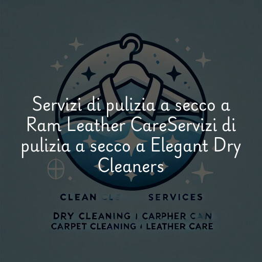 Servizi di pulizia a secco a
