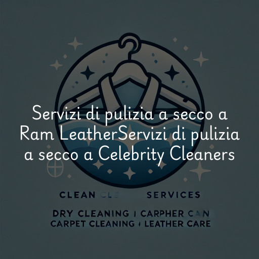Servizi di pulizia a secco a