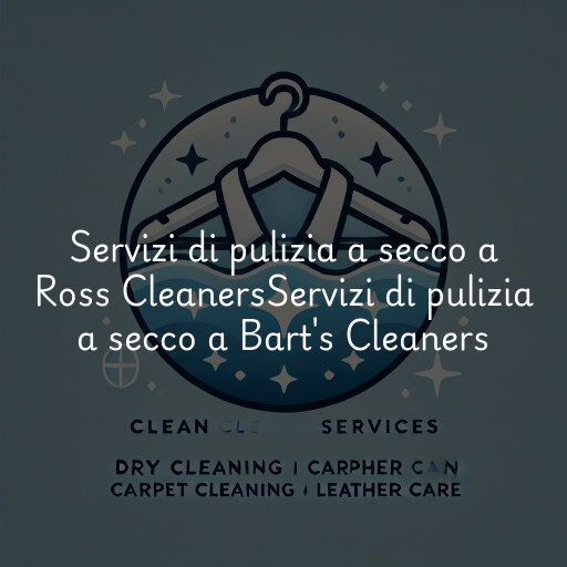 Servizi di pulizia a secco a