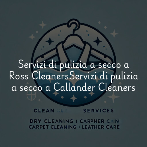 Servizi di pulizia a secco a