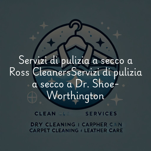Servizi di pulizia a secco a