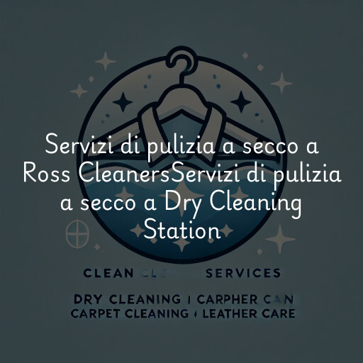 Servizi di pulizia a secco a
