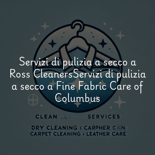 Servizi di pulizia a secco a
