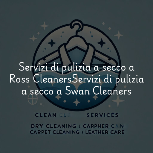 Servizi di pulizia a secco a