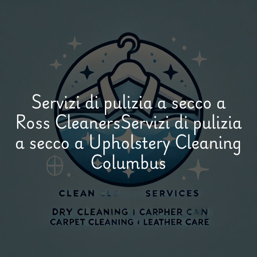 Servizi di pulizia a secco a