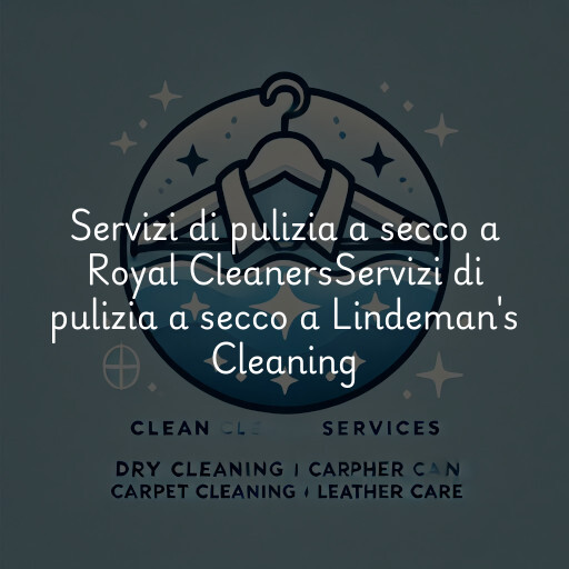 Servizi di pulizia a secco a