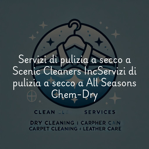 Servizi di pulizia a secco a
