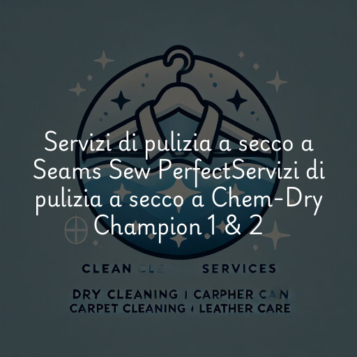 Servizi di pulizia a secco a