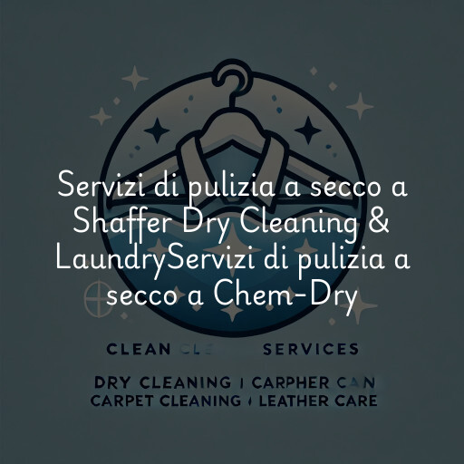 Servizi di pulizia a secco a