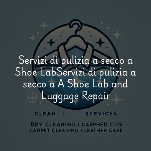 Servizi di pulizia a secco a