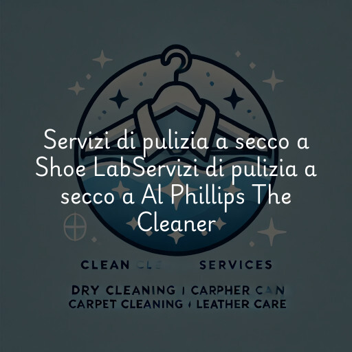 Servizi di pulizia a secco a
