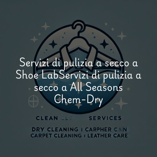 Servizi di pulizia a secco a