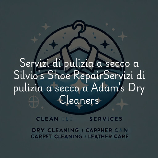 Servizi di pulizia a secco a