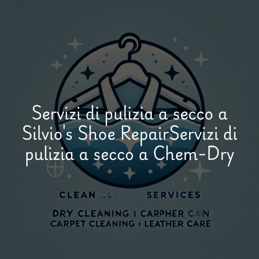 Servizi di pulizia a secco a